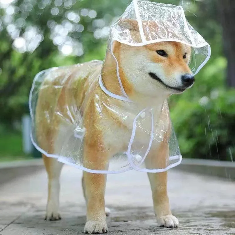 Clear Dog Rainwear: Fashionable Waterproof Jacket for Small Breeds - Stay Stylish & Dry