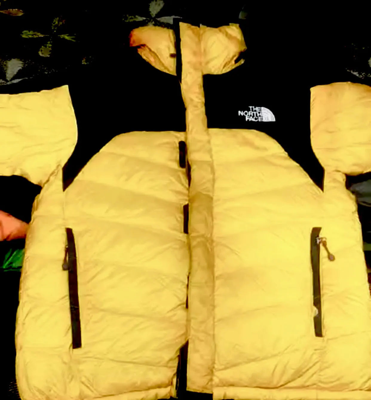 The North Face Puffer jacket 100 pcs